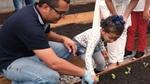 Man and young girl planting lettuce plants in our onsite garden at Pouso Alegre, Brazil.