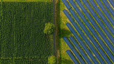 Aerial view of a solar farm beside a green crop field, separated by a narrow road with a few trees.