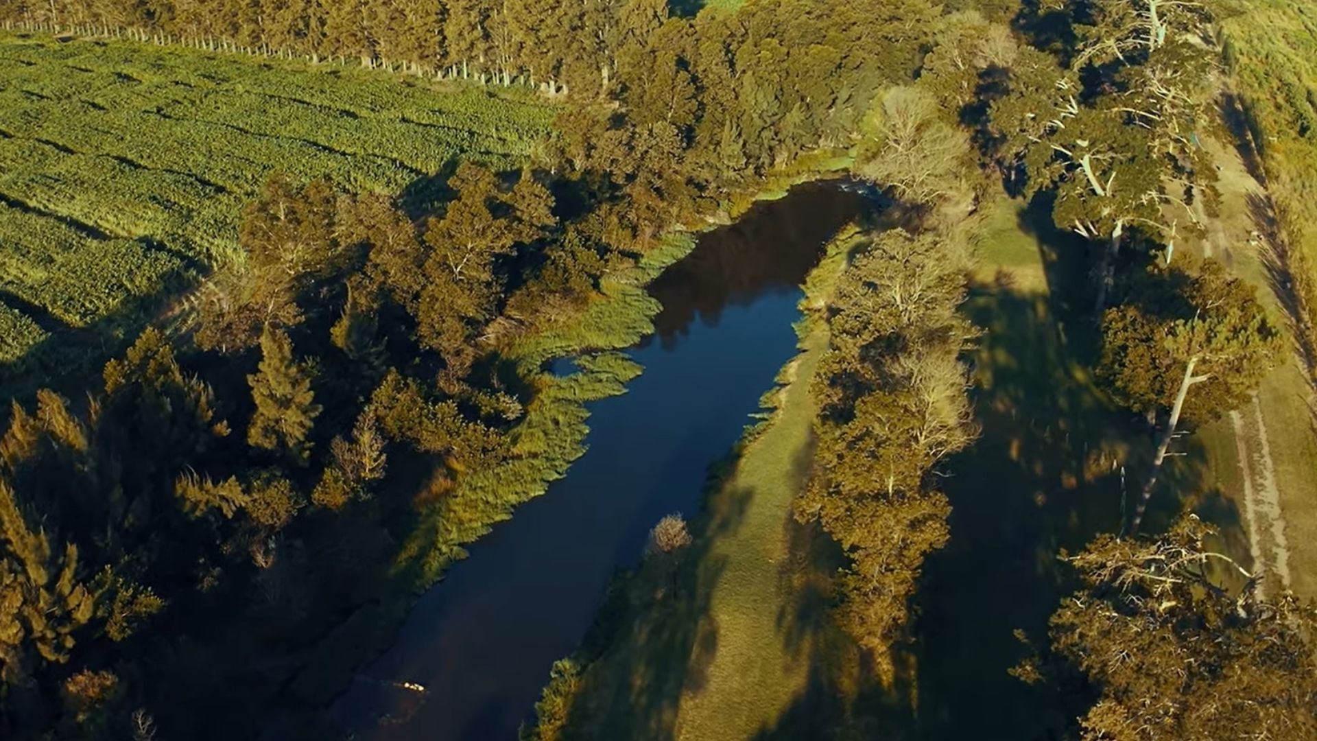 A winding river flows between dense green fields and tall trees in bright afternoon light.