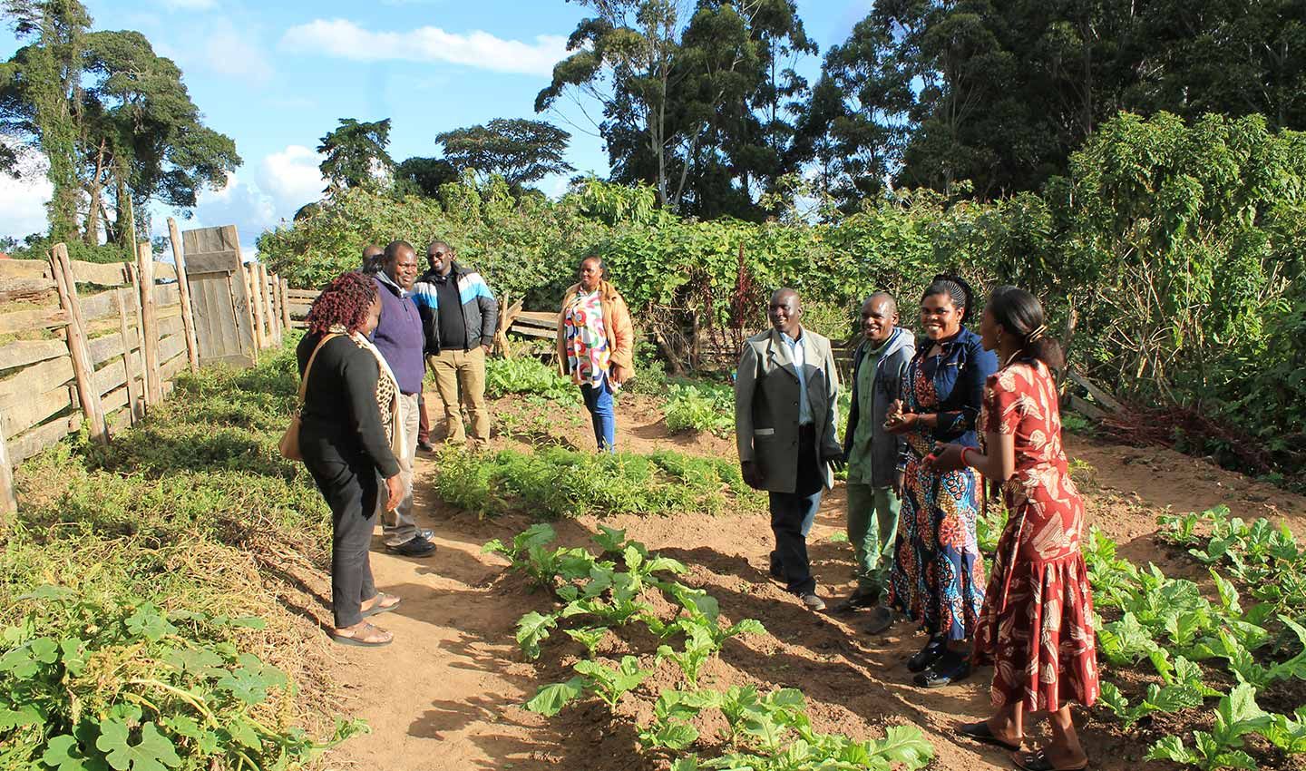 Feature image - Abdallah Hamadi