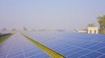 Large solar panel farm stretching across open land under a clear sky.